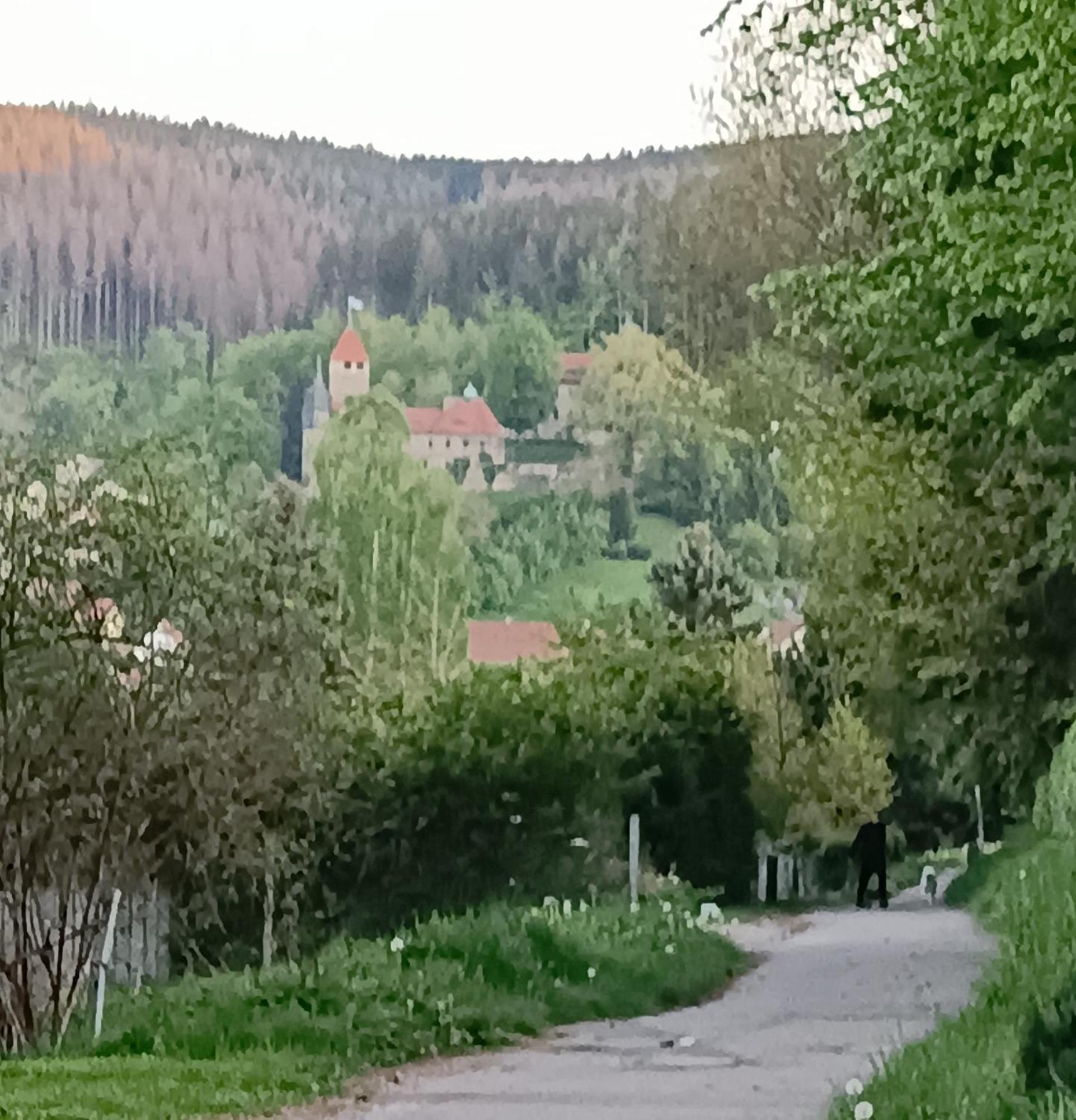 Ferienwohnung Hey Elgersburg Bagian luar foto